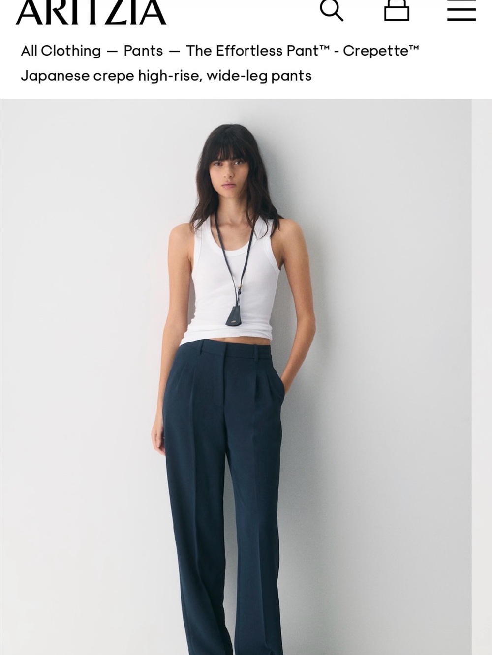 Aritzia Wilfred Effortless Pants- High-Rise Wide-Leg (0 Reg) Striped Sides